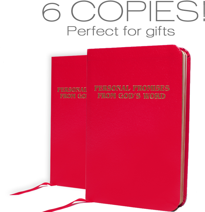 27 Jun 6 Copies Of Personal Promises From God's Word - Book Cover (761x702)