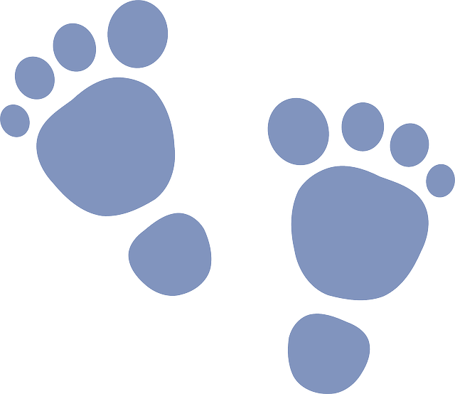 Footprint, Baby, Blue, Boy, Feet, Steps, Birth, Newborn - Baby Feet Clip Art (640x554)