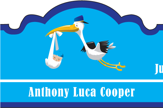 Baby Boy Cigar Band Template - Anneke Ernon (540x378)