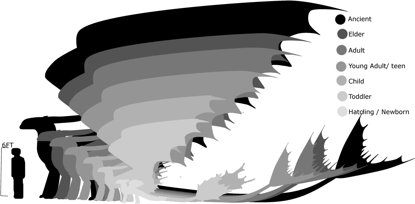 Eternityofnightmares Night Fury Age Size [outdated] - Big Is A Night Fury (1600x1000)