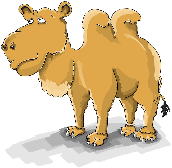 Cute Cartoon Seals 12, Buy Clip Art - Unta Kartun Png (720x720)