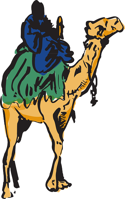 Travel Sand, Camel, Art, Animal, Desert, Travel - Ride A Camel Png (402x640)