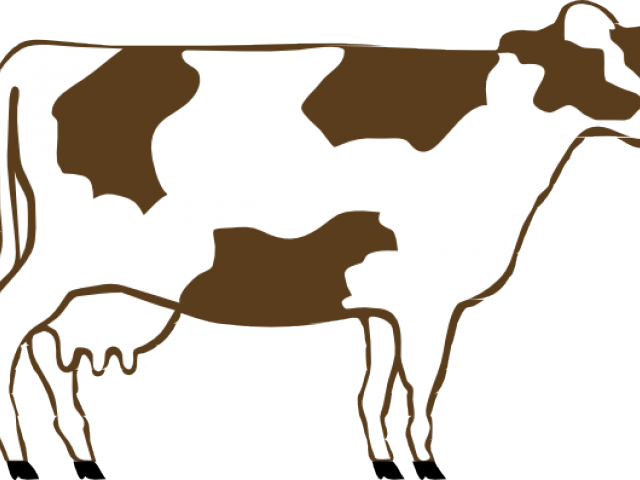 Camels Clipart Cow - Cow Clip Art (640x480)