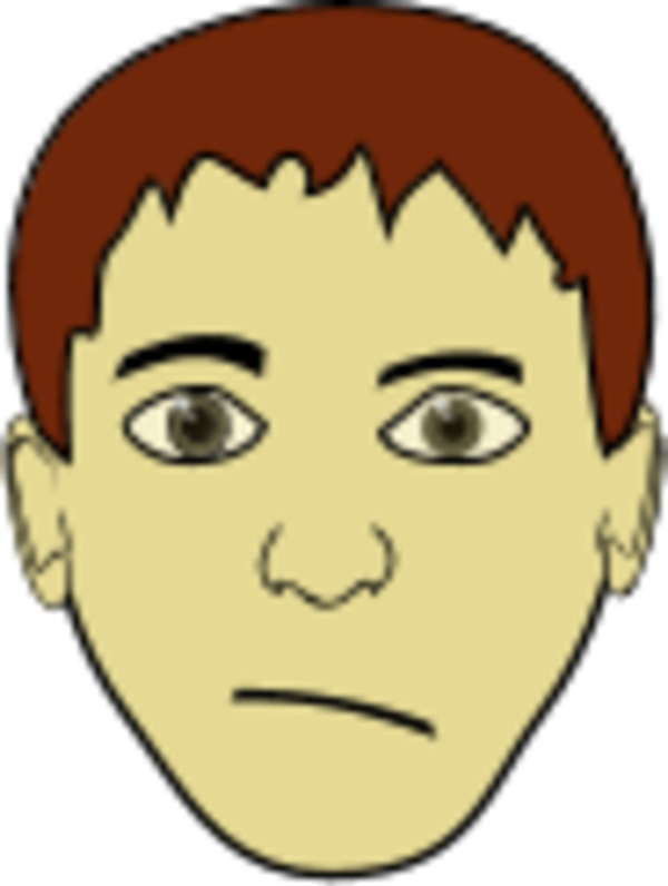 Smirk Clipart - - Short Brown Hair Boy (600x796)