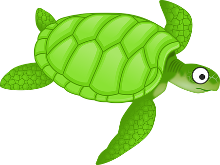 Cartoon Green Sea Turtle Turtle Turtle Tur - Sea Turtle Clipart (452x340)