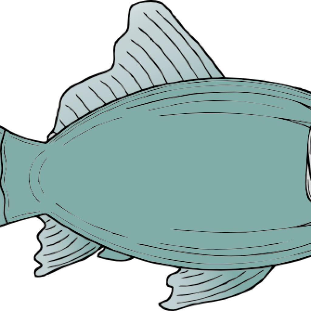 Free Fish Clipart Generic Fish Clip Art Free Vector - Fish Clip Art (1024x1024)
