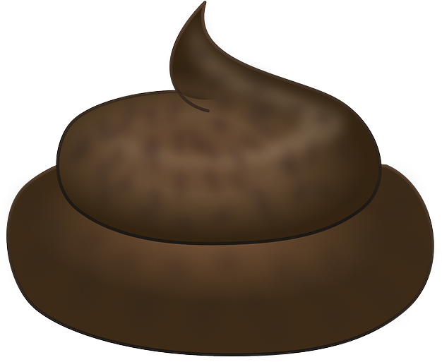 What Is Normal And What Is Not - Clipart Pile Of Poo (640x515)