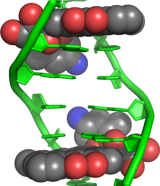 Fda Push Through Approval Of Doxil Generic - Doxorubicin Mechanism Of Action (720x760)