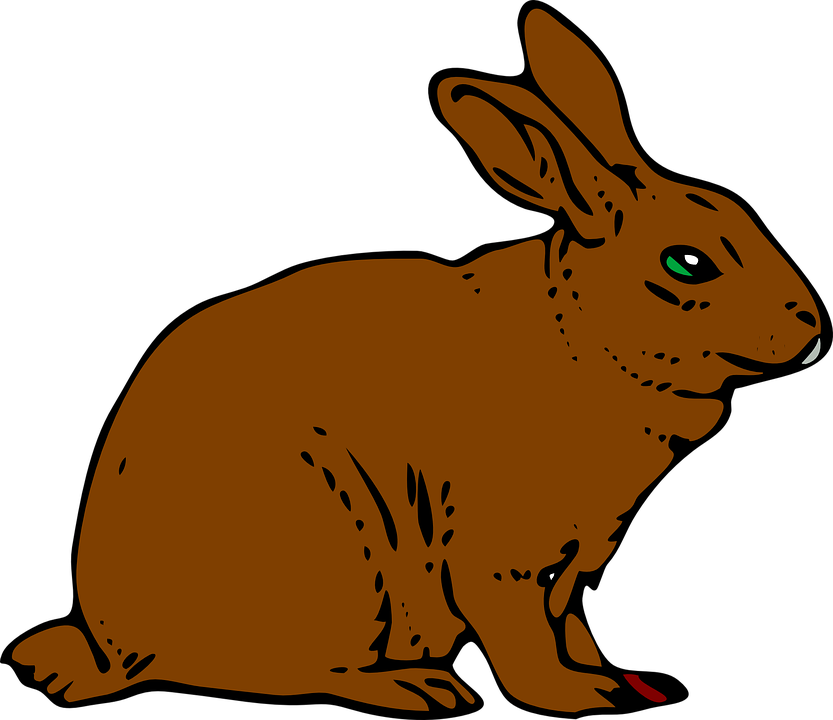 Rabbit Clip Art - Rabbitclip Art (833x720)