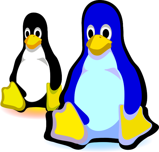 Icon, Blue, Cute, Theme, Picture, Insert - Linux (640x613)