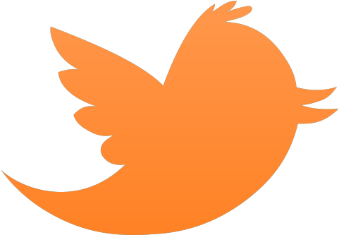 Tweet Food Recognition - Twitter Bird Grey Png (484x369)