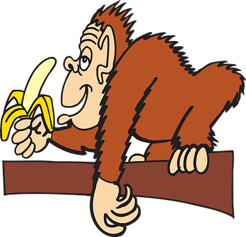 Ape Branch Banana Animal Peeled Eating Ape - Monkeys Eating Bananas Clipart (353x340)