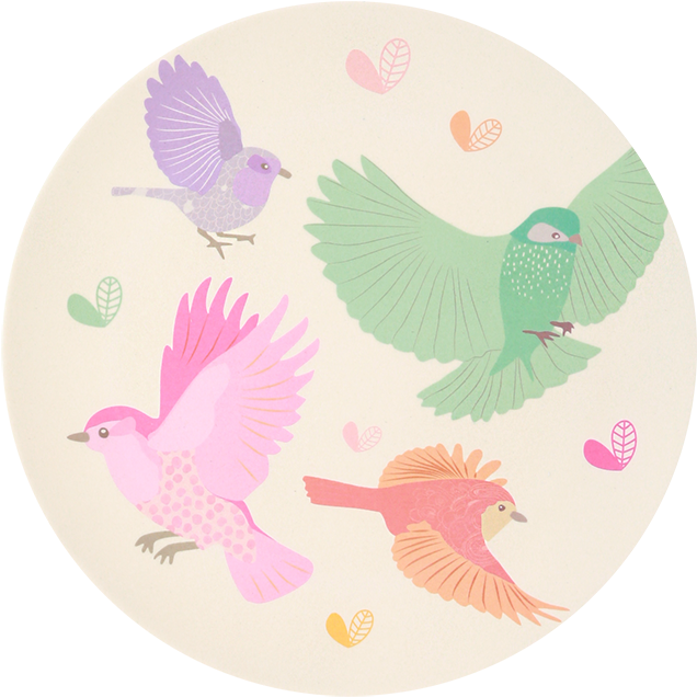 Love Mae 2pk Large Plates- Birds - Bamboo 2pk Large Plates - Birds (800x800)