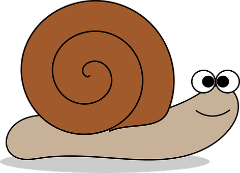 Animal Cartoon Cartoon Animals Grass Mollu - Snail Clipart Png (472x340)