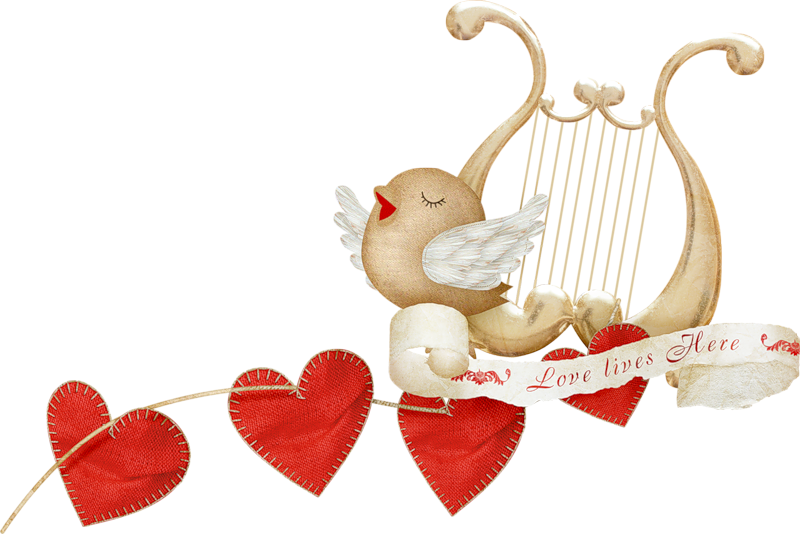 Love Heart Clip Art - Heart (800x534)