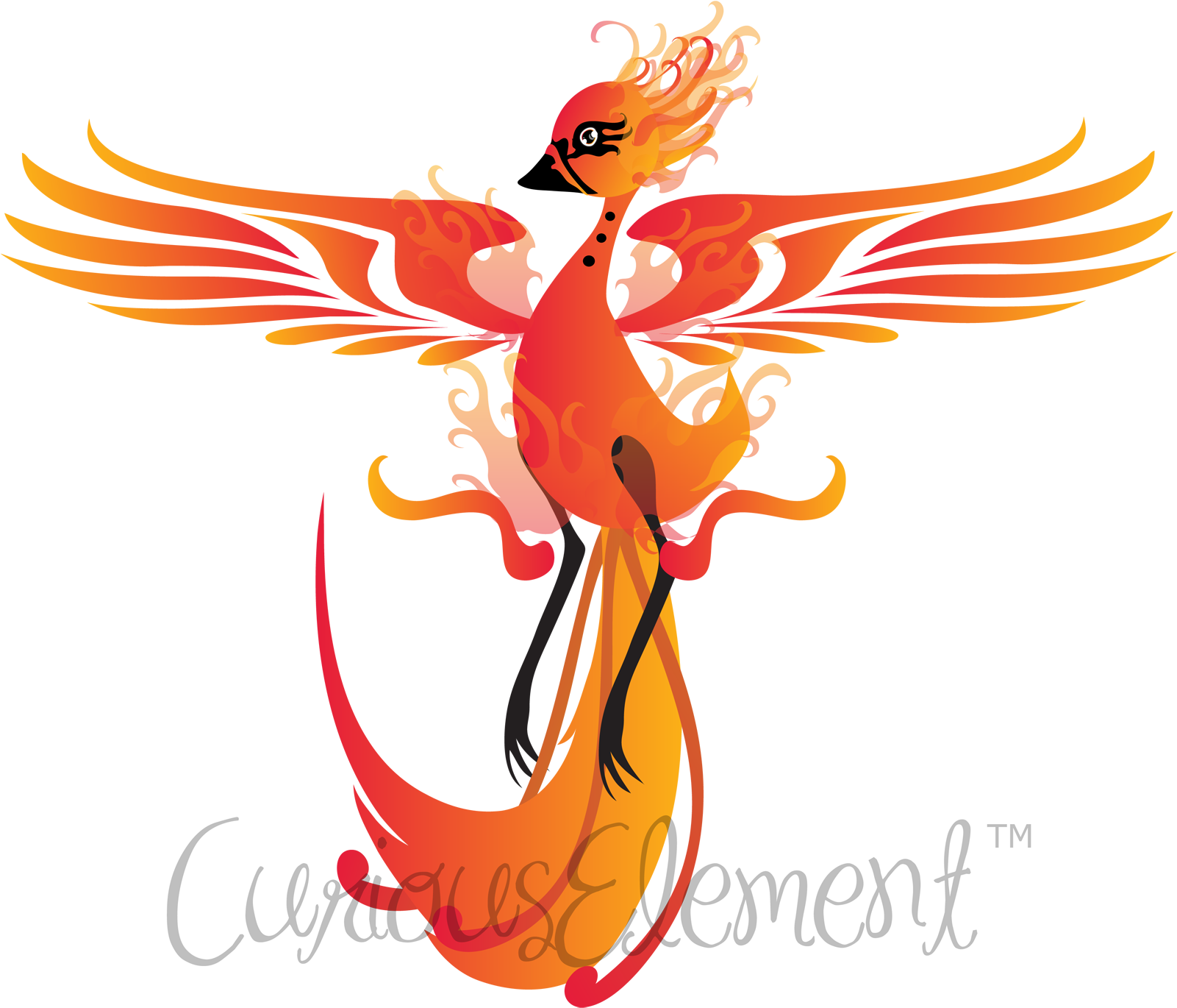 Author Comments - " - Illustration (1600x1407)