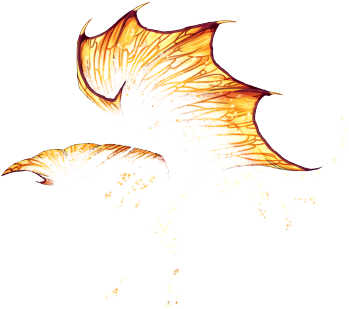 Sun Scatter Accent Transparent - Wings Of Fire (350x350)
