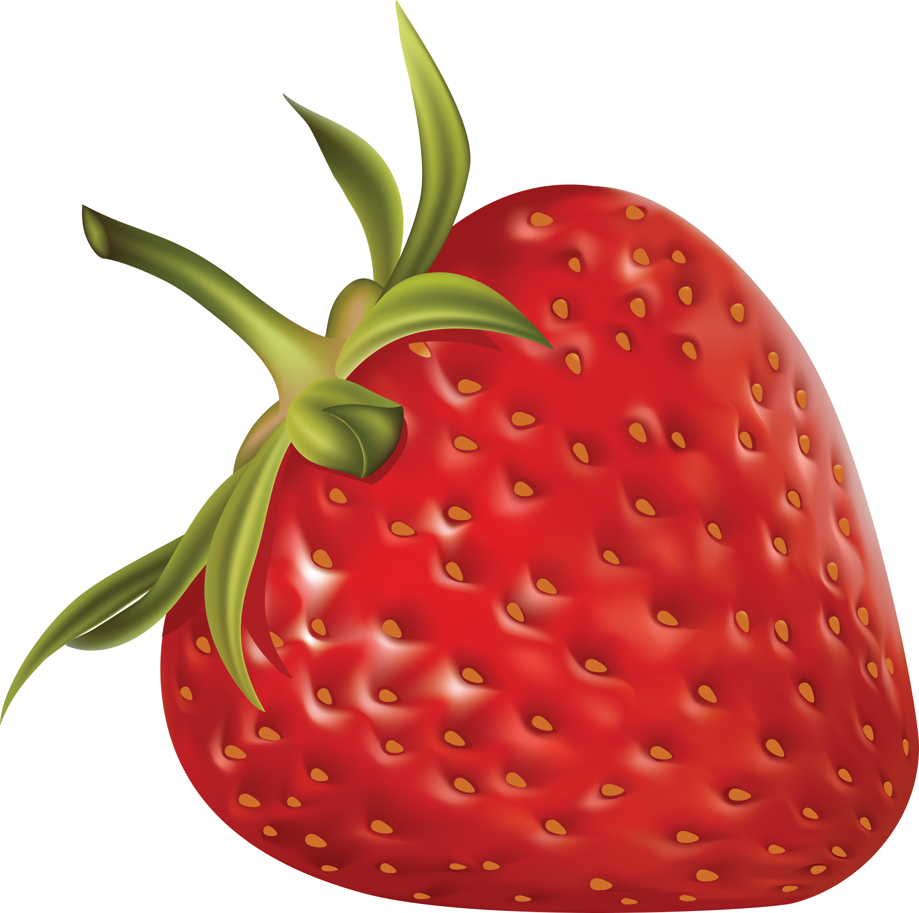 Drawn Strawberry Transparent Background - One Strawberry Png (3595x3568)