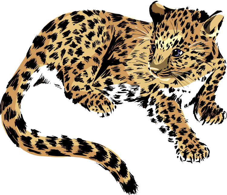 Free Jaguar Clipart - Jaguar Clipart Png (750x646)