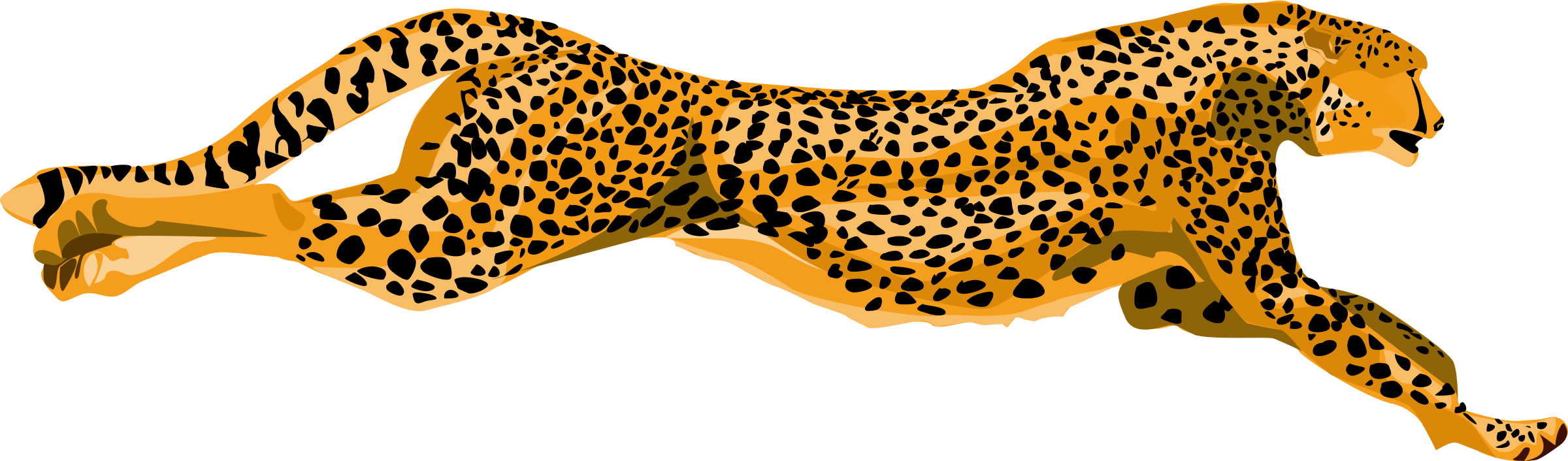 Leopard-cheetah - Leopard Print Flip Flops (2400x706)