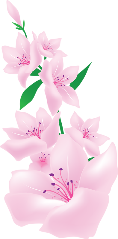 Flores Ilustraciones En Png Para Artesanía Y Diseños - Marco Circular Flores Amarillas Png (394x800)