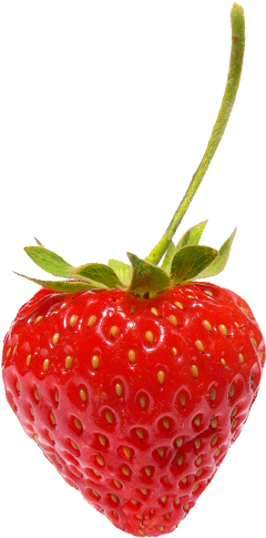 Strawberry Png Pic - Strawberry Png (272x500)