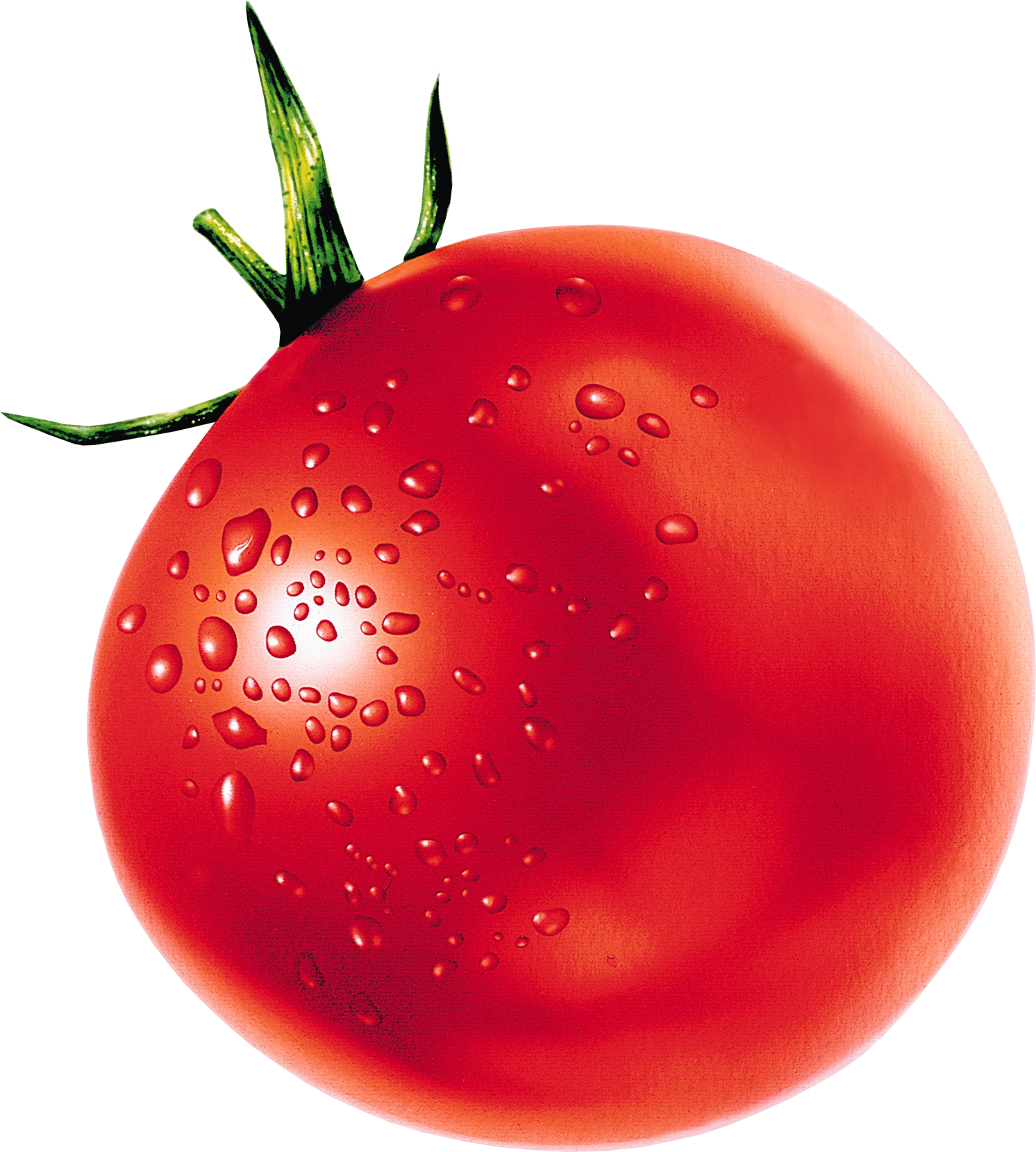 Tomato Png - Hhtd Home Ozone Generator Fruit Vegetable Cleaner Air (1492x1659)