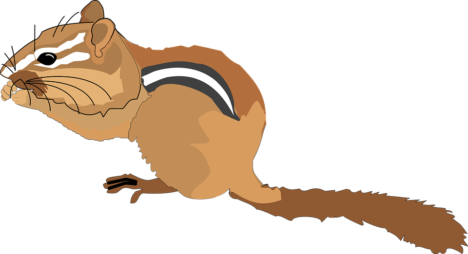 Red Squirrel Clipart Snow White - Chipmunk Clipart (960x522)