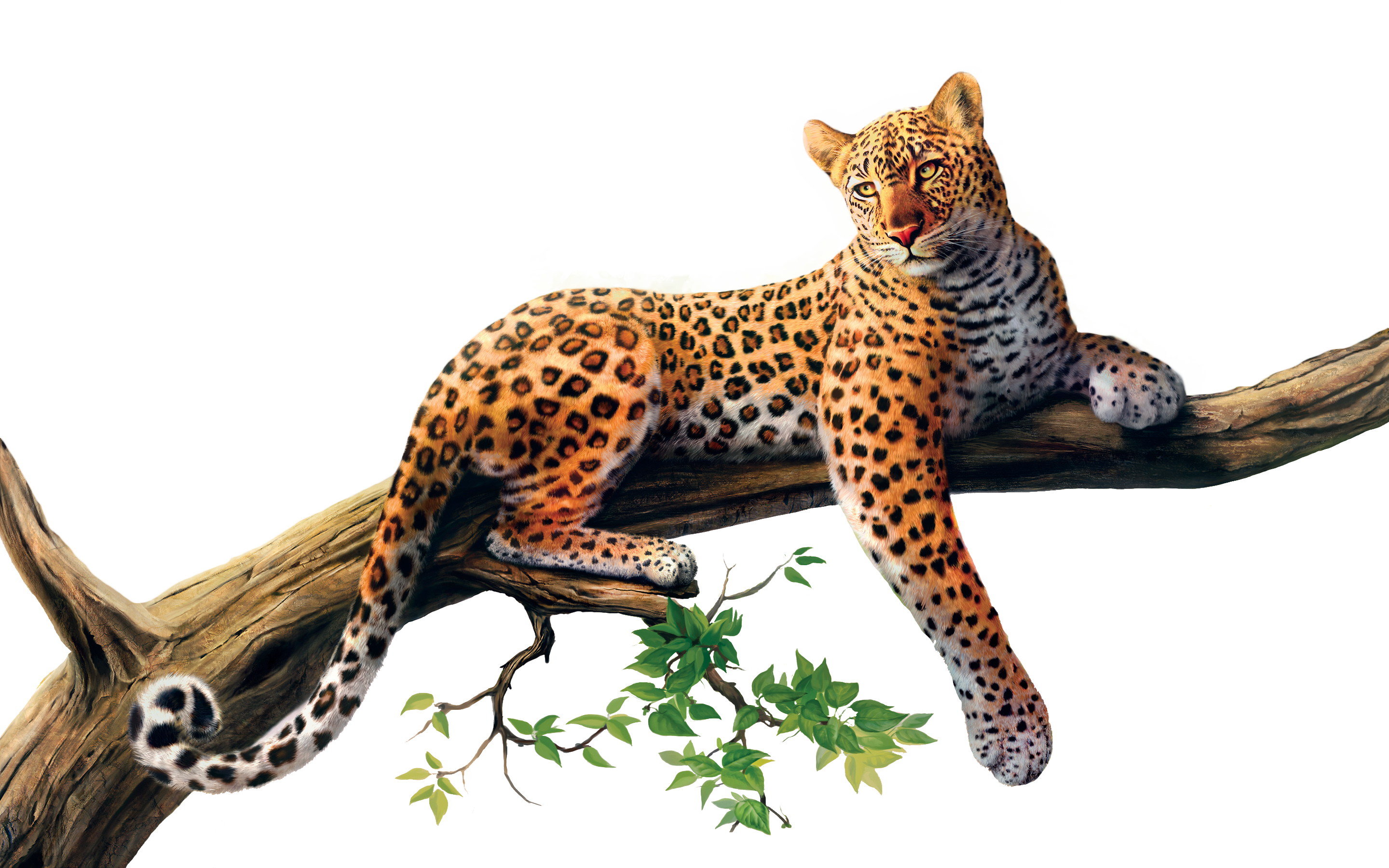 Jaguar Png Image - Ark Tlc Phase 3 (2880x1800)