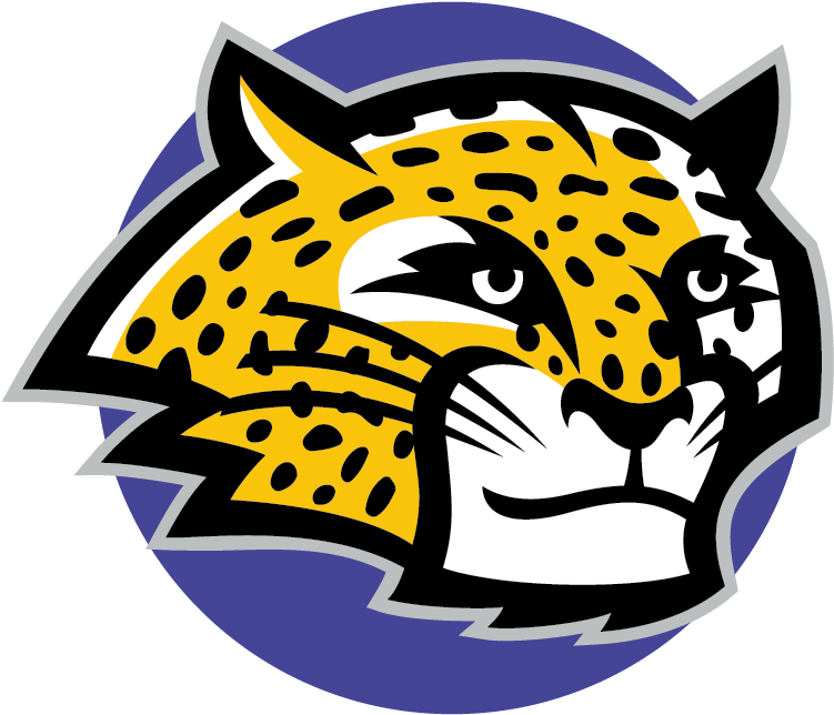 Vista Verde Jaguars - Vista Verde Jaguar (962x934)