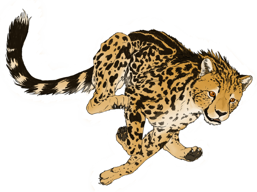Jaguar Running Clipart Download - Transparent Cheetah (900x671)