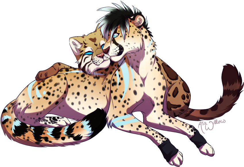 Image Image - Cheetah (864x606)