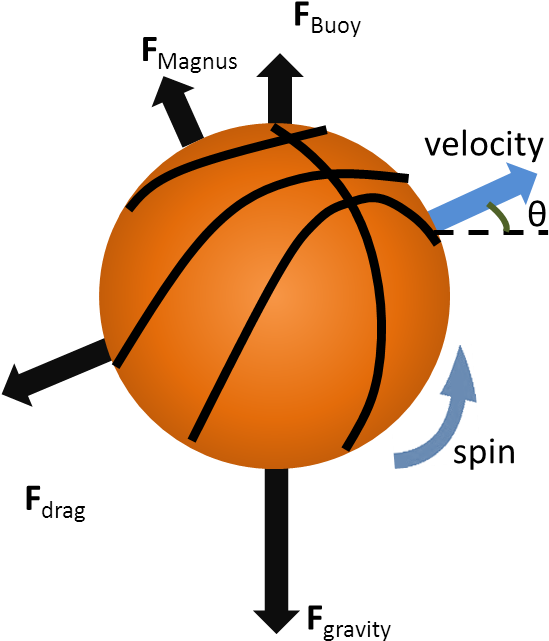 The Four Forces That Act On A Basketball In Flight - Forces Acting On A Ball (570x685)