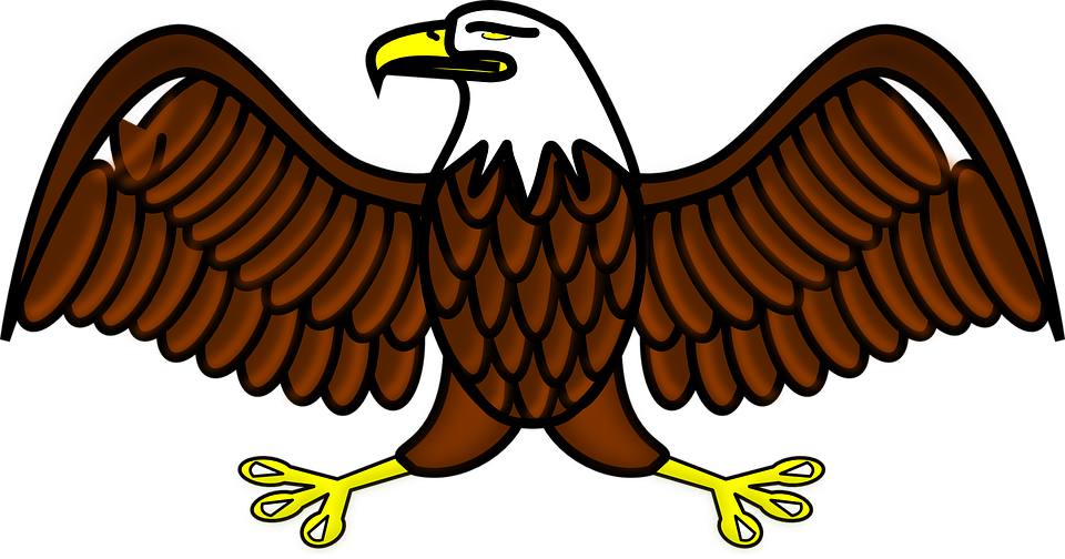 Eagle Mascot Clipart - Bald Eagle Clipart (960x504)