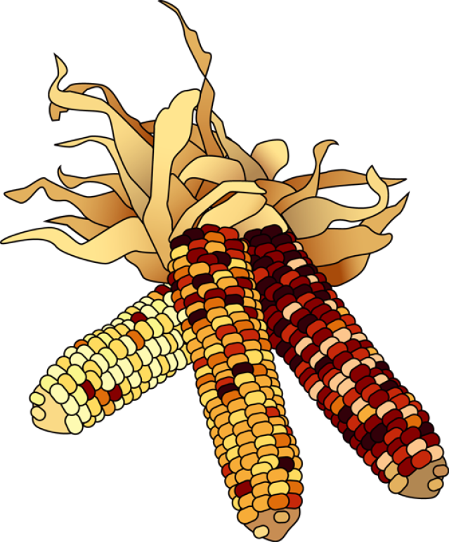 Corn - Clipart - November Clip Art Free (639x771)