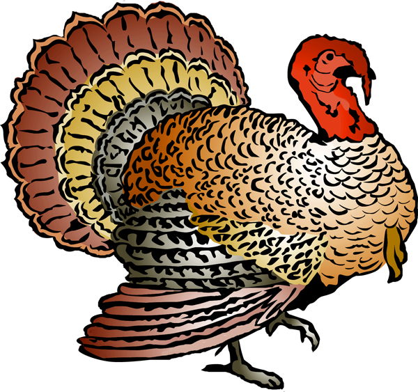 Wild Turkey Clipart - Wild Turkey Clipart (600x563)