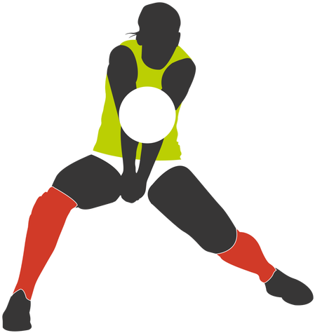 Volleyball Png (512x512)