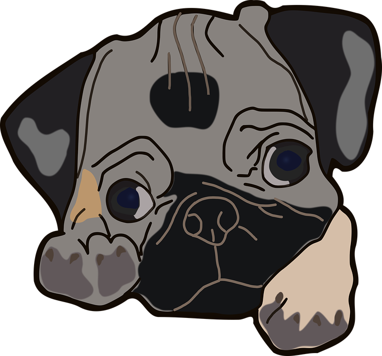 Scared Dog Cliparts 28, - Pug Clipart Png (773x720)