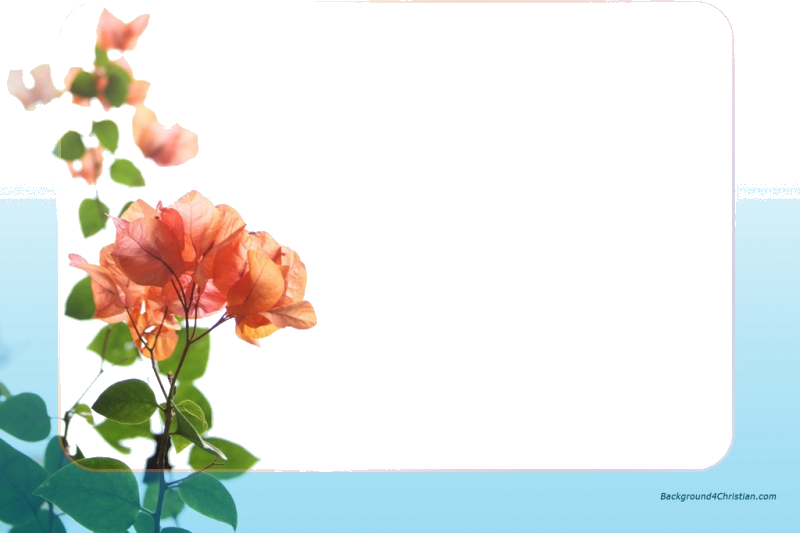 Floral - Love You Mom Quotes (800x533)