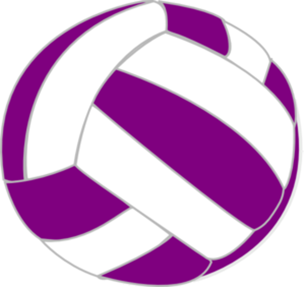 Corporate Sponsors - Purple Volleyball Clipart (1024x963)