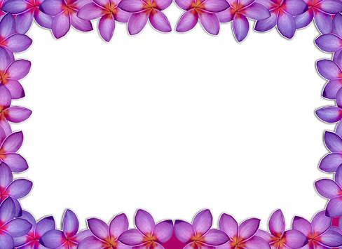 Purple Flower Borders And Frames - Picture Frame (488x355)