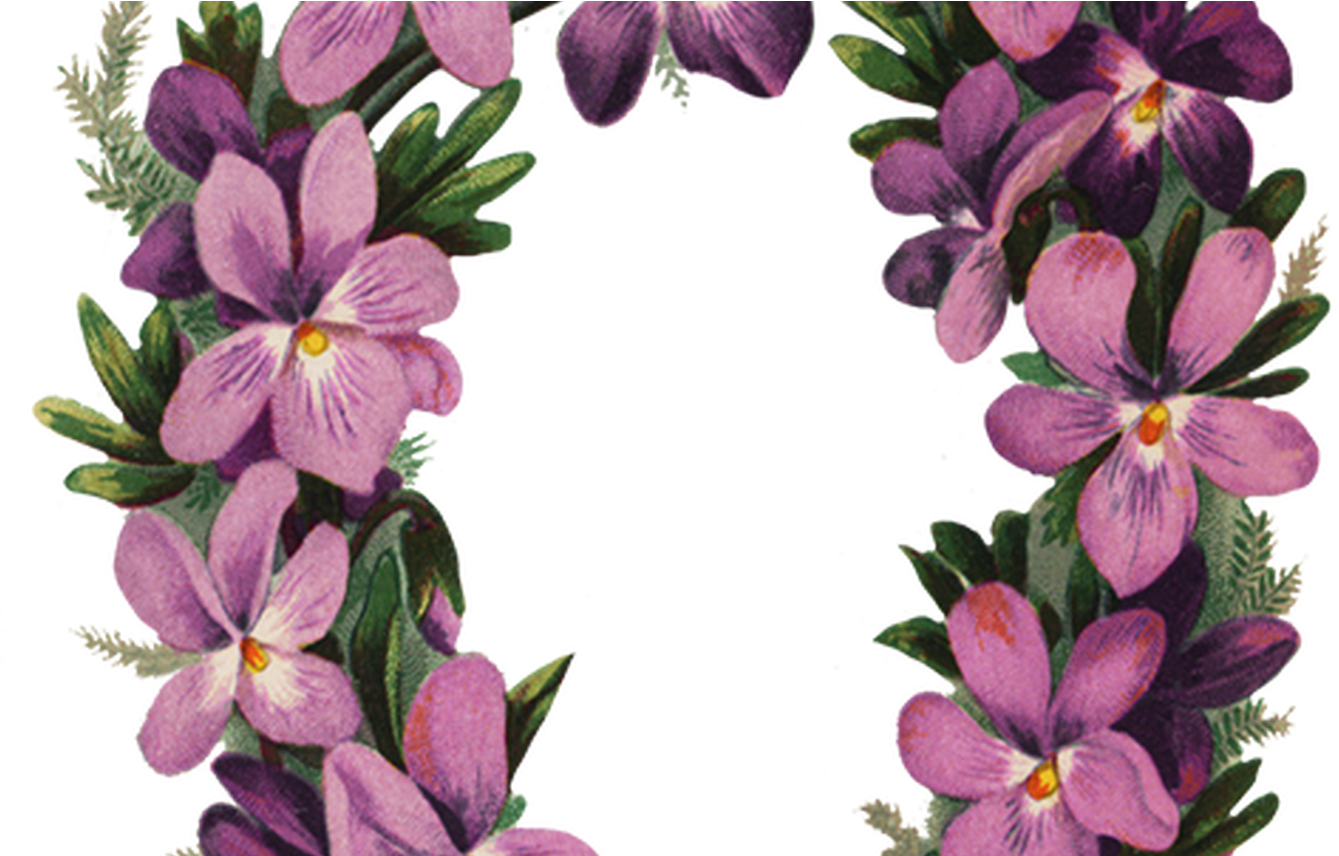 Flower Borders And Frames - Flower (1368x855)