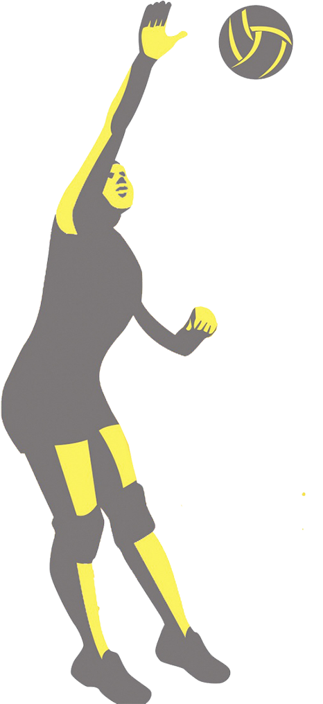 Volleyball Clip Art - Volleyball Clip Art (500x1015)