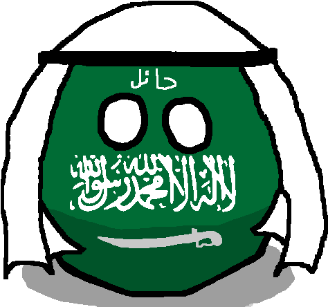 14, July 23, 2015 - Saudi Arabia Flag Rectangle Magnet (500x500)