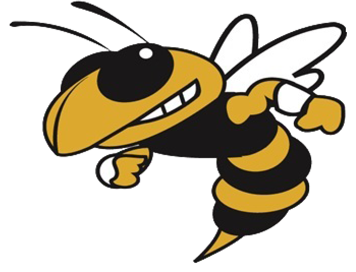 Hornet Clipart Volleyball - Georgia Tech Yellow Jackets (800x566)