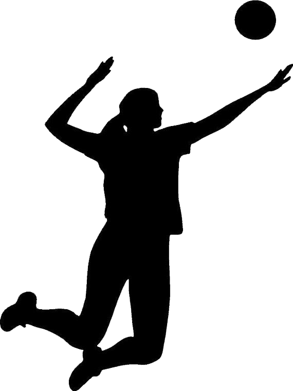 Volleyball Png Images Transparent Free Download - Volleyball Clip Art (570x760)