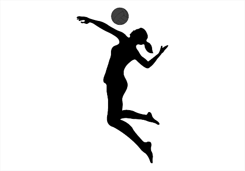 Volleyball Png File - Volleyball Silhouette (501x351)
