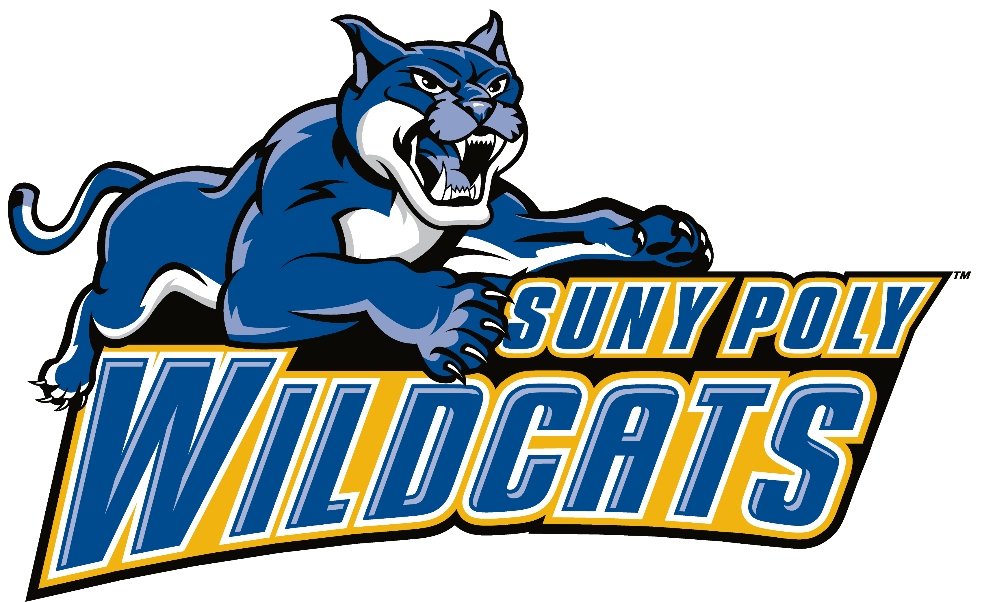 Suny Poly Womens Volleyball Data - Suny Polytechnic Institute (3398x3398)