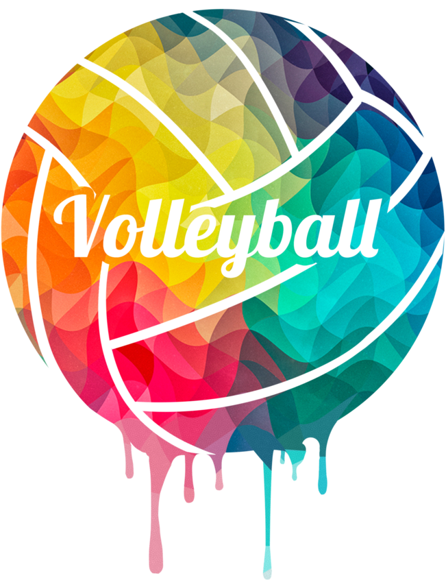 Colortwist Volleyball Shirt - We Love Volleyball (724x1024)