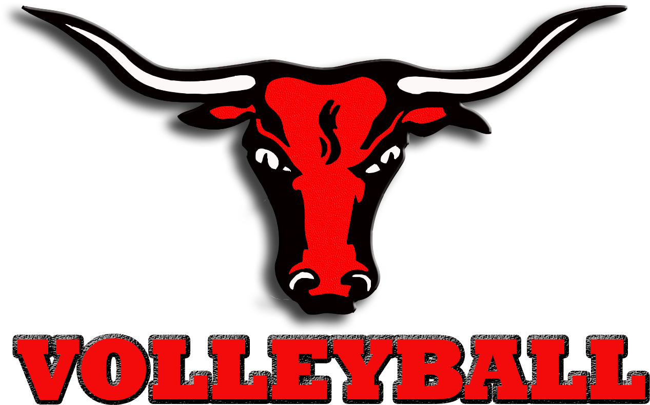 Volleyball - Marshall High School (1338x915)